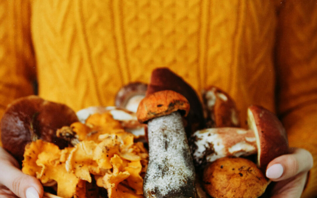 Jesień – czas przełomu i nowego rytmu